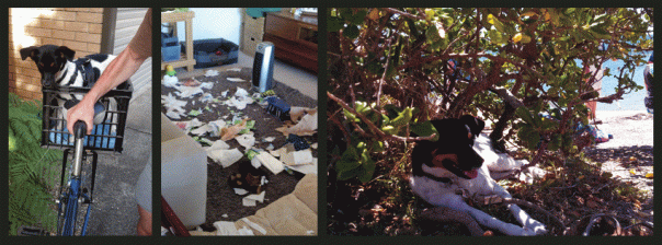 Uncertainty, boredom and peace....all part of the package