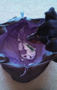 It's been a while since the swim bag